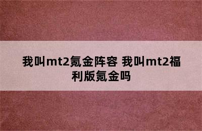 我叫mt2氪金阵容 我叫mt2福利版氪金吗